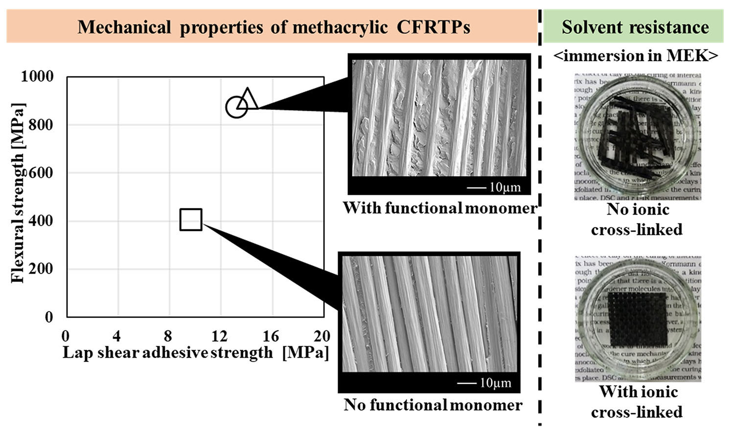 Express Polymer Letters